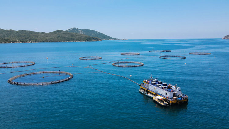 Bảo trì ống địa kỹ thuật trong môi trường nước mặn theo phương pháp khoa học